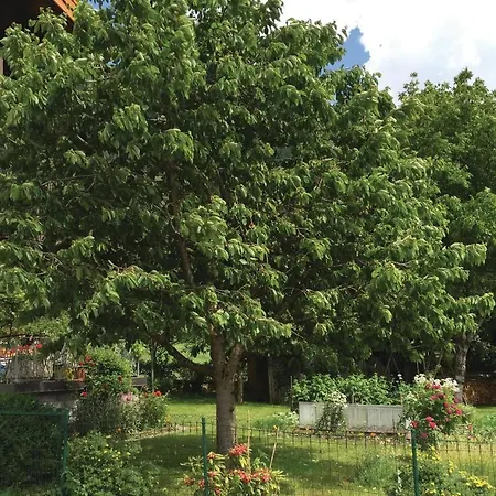 Daire Ferienwohnung In Stumm-zillert Stumm